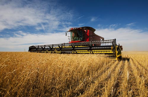 Agricoltura